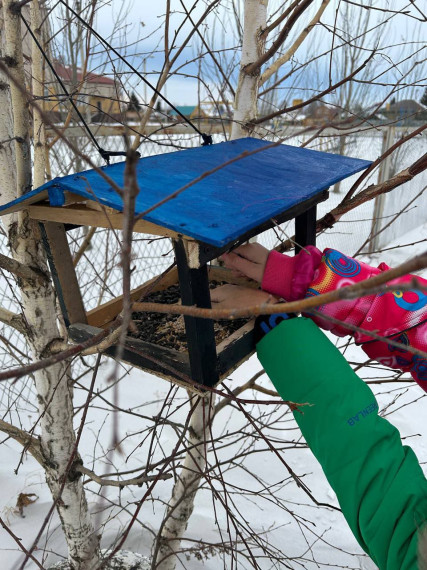 Изготовление кормушек для птиц..